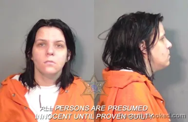 Booking photo from Caddo Parrish, Louisiana