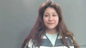 Mugshot of ARLENE E GARCIA