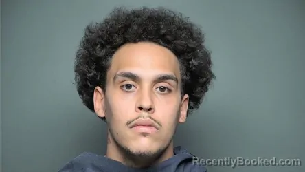 Mugshot of NATHAN LASHAUN HARBOUR