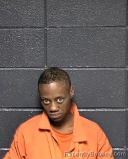 Mugshot of SHANEETI WYNETTE HENDERSON