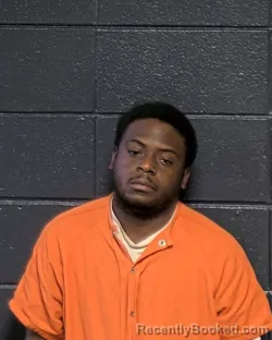 Booking photo from DeSoto Parrish, Louisiana