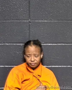 Mugshot of MICHELE LYNN WILSON