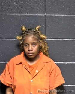 Mugshot of TIARA BERNSTINE