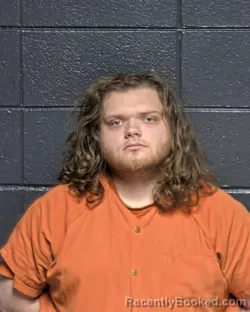 Booking photo from DeSoto Parrish, Louisiana