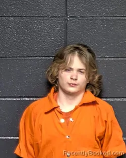 Mugshot of ETHAN BRYCE LOGAN