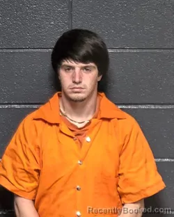 Mugshot of BRANDON WAYNE PALMER