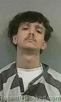 Mugshot of BRANNON DEVILLE