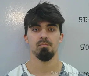 Mugshot of WARREN COLBY LOVELY