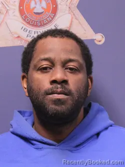 Mugshot of ROBERT LEE DAVIS