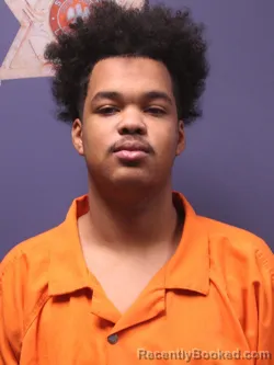 Booking photo from Iberville Parrish, Louisiana