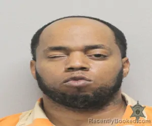 Mugshot of TERRENCE L SINEGAL