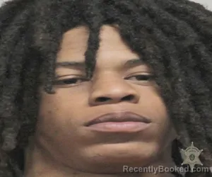 Mugshot of DEMARION THOMAS