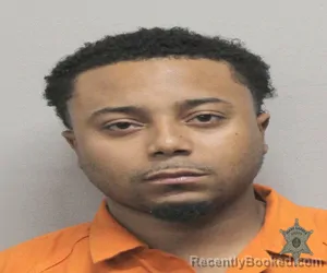 Mugshot of DAVID J ROBERTSON