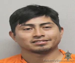 Mugshot of JUAN L NOLUSCO