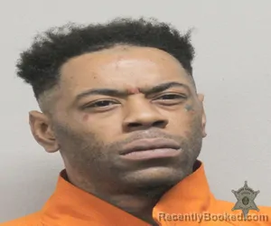 Mugshot of RYAN MITCHELL ALEXANDER