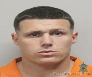 Mugshot of BRYCE NELSON SELLERS