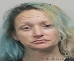 Mugshot of LORI N FAULK