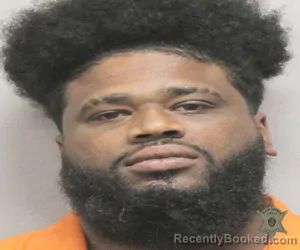 Mugshot of RAYLON WILTZ