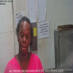 Mugshot of DEMETRA NECOLE ROSS