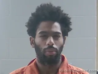 Mugshot of IRVIN C LYNCH