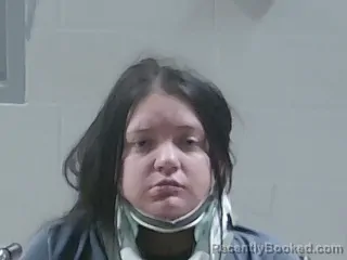 Mugshot of MEAGAN DSHEA MCALISTER