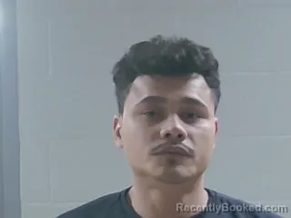Mugshot of LUIS MEJIA
