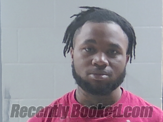 Booking photo from Livingston Parrish, Louisiana