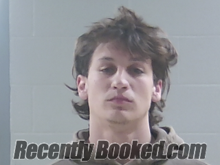 Booking photo from Livingston Parrish, Louisiana