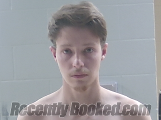 Booking photo from Livingston Parrish, Louisiana