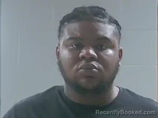 Mugshot of NIGEL B LOTT