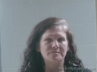 Mugshot of TERESA NICOLE WILLIAMS