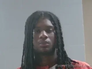 Booking photo from Livingston Parrish, Louisiana