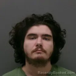 Mugshot of ELVIS RAY PHILLIPS