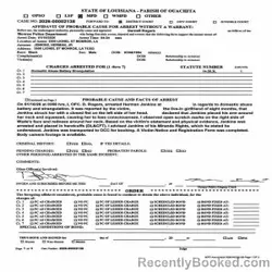 Mugshot of HERMAN JR JENKINS