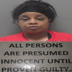 Mugshot of ARIEL DION SIMONE MCGEE