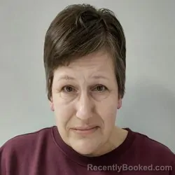 Mugshot of BRANDI TRAYLOR BOUTWELL