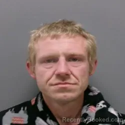 Mugshot of MICHAEL DALE DAVIS