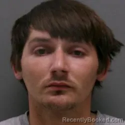 Mugshot of ROY H GREMILLION