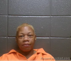 Mugshot of NIKITIA VAN BOUDREAUX