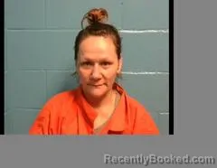 Mugshot of MICHELLE M HAYES