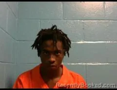 Mugshot of DARIEN D MITCHELL