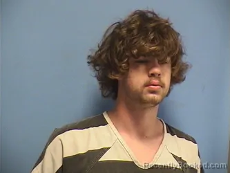 Mugshot of DUSTIN YRLE