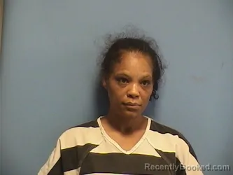 Mugshot of ALLISON SYLVE