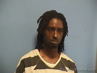 Mugshot of JERODRICK WILSON