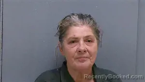 Mugshot of LORI LOWRIMORE LILES