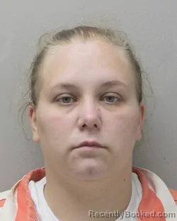 Mugshot of KIMBERLY NICOLE HEALY
