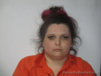 Mugshot of SHANNA MARIE SANDERS