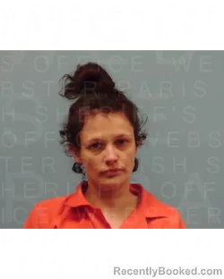 Mugshot of ALLYSSA FAITH INGRAM