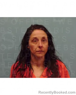 Mugshot of ASHLEY S MCLAIN