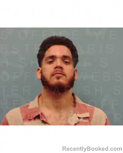 Mugshot of DEREK NAQUIN